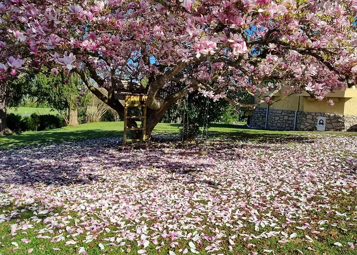 Mirensou 蒙福尔－昂沙洛斯